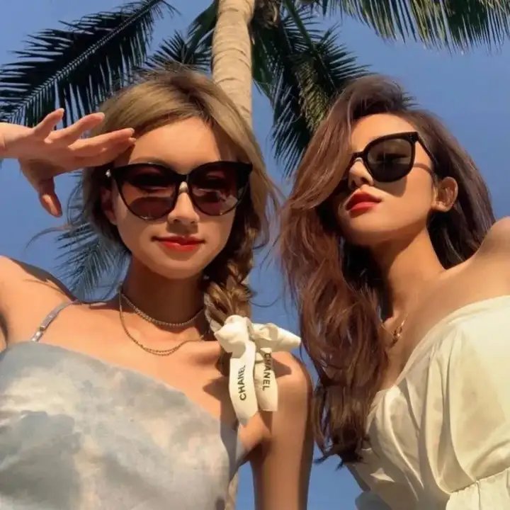 与鲨鱼游弋